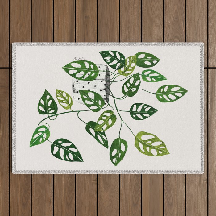 Monstera obliqua interior plant Outdoor Rug Gallery Image 1