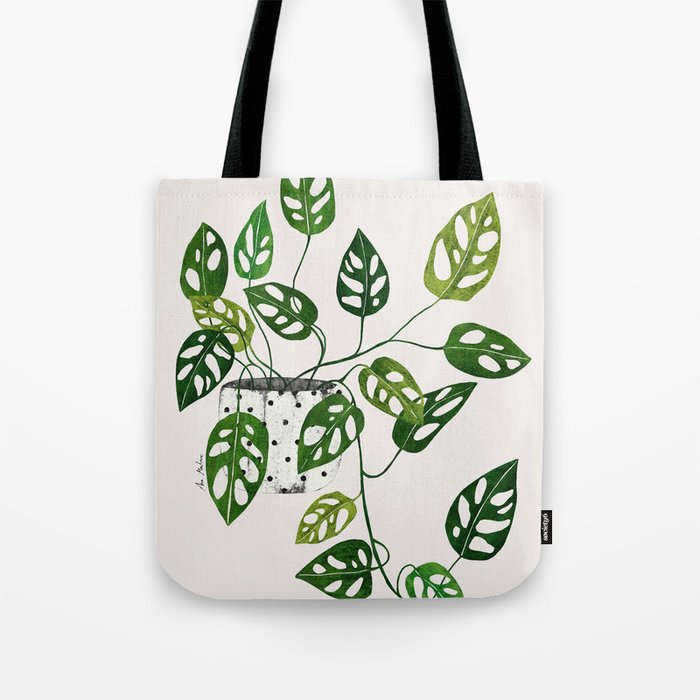 Monstera obliqua interior plant Tote Bag Gallery Image 1