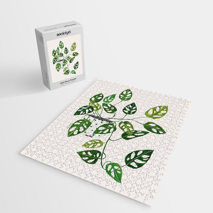 Monstera obliqua interior plant Jigsaw Puzzle Gallery Image 2