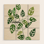Monstera obliqua interior plant Wood Wall Art Gallery Image 1