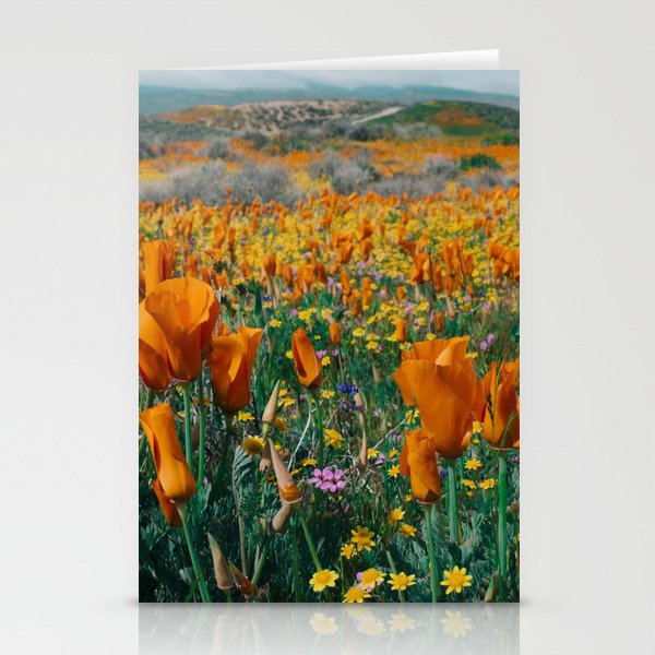 Wildflower Poppy Superbloom Stationery Card Gallery Image 2