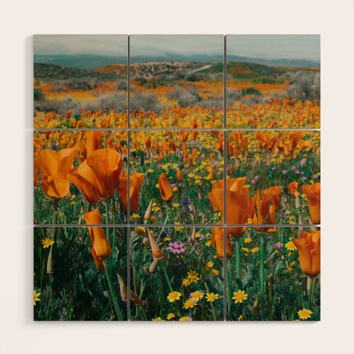 Wildflower Poppy Superbloom Wood Wall Art Gallery Image 1
