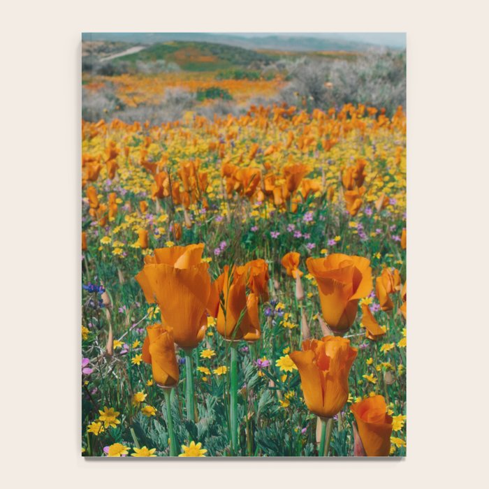 Wildflower Poppy Superbloom Notebook Gallery Image 4
