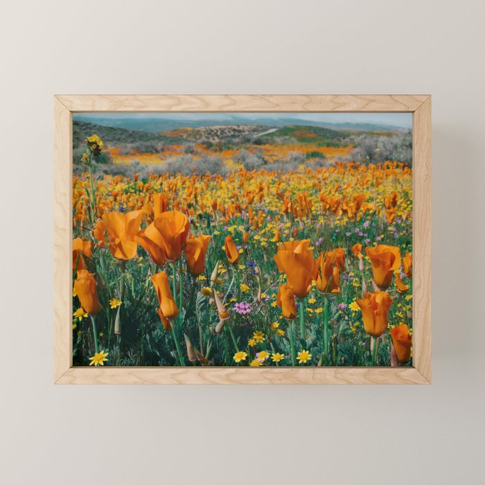 Wildflower Poppy Superbloom Mini Art Print Gallery Image 1