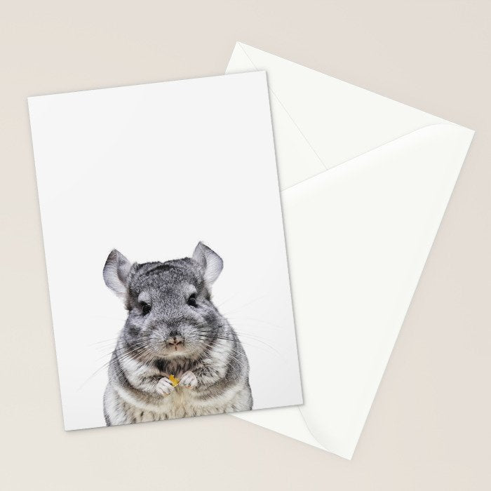 Chinchilla Stationery Card Gallery Image 2