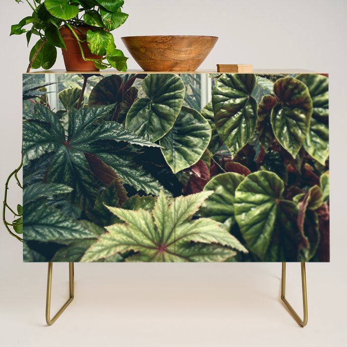 Beautiful Begonias Credenza Gallery Image 1