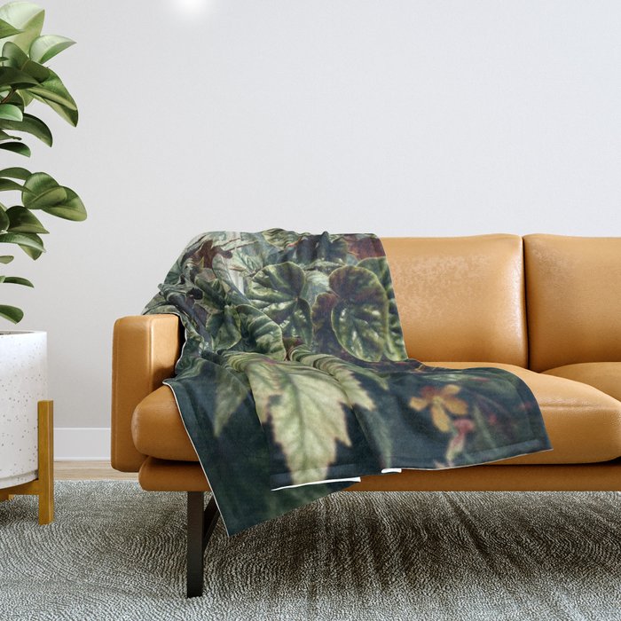 Beautiful Begonias Throw Blanket Gallery Image 1