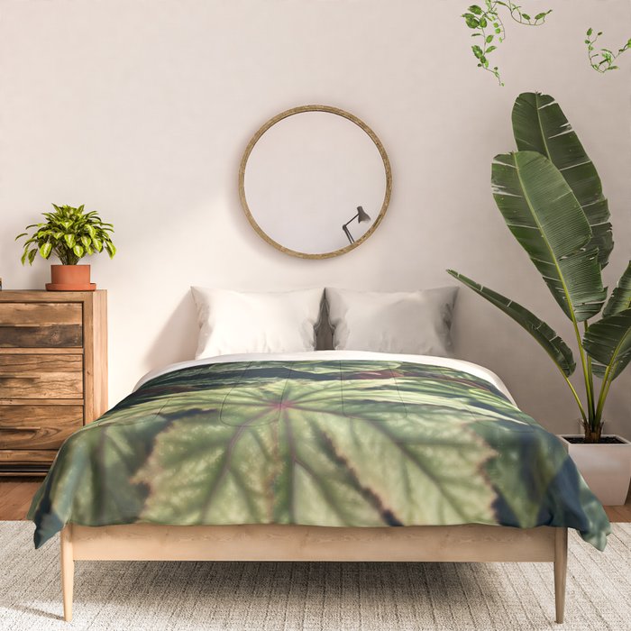 Beautiful Begonias Comforter Gallery Image 3