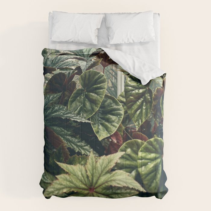 Beautiful Begonias Comforter Gallery Image 1