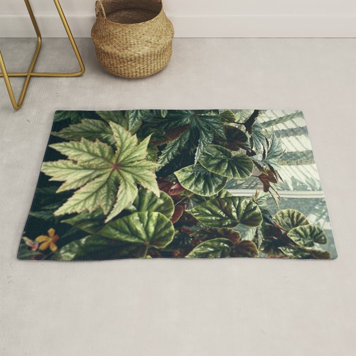 Beautiful Begonias Rug Gallery Image 1