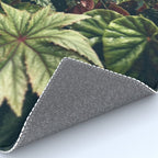 Beautiful Begonias Rug Gallery Image 4