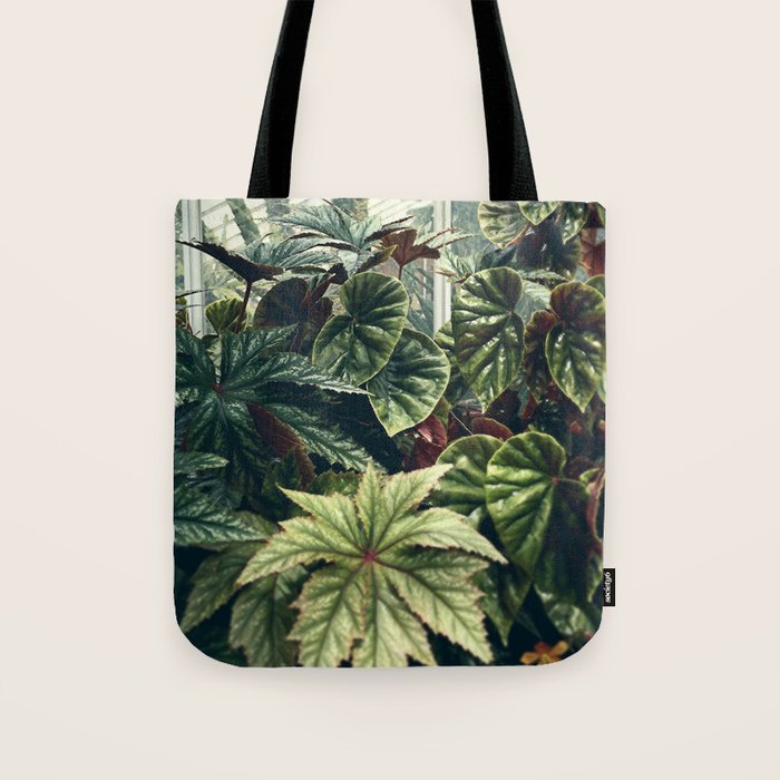 Beautiful Begonias Tote Bag Gallery Image 1