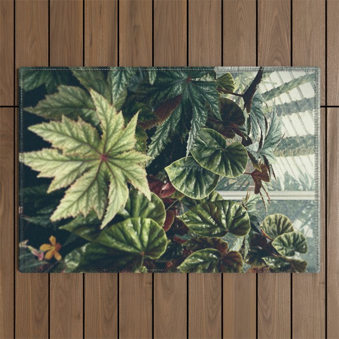 Beautiful Begonias Outdoor Rug Gallery Image 1