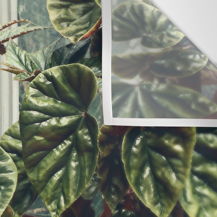 Beautiful Begonias Wall Tapestry Gallery Image 3