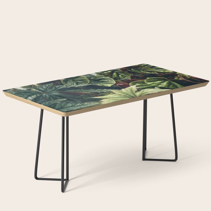 Beautiful Begonias Coffee Table Gallery Image 1