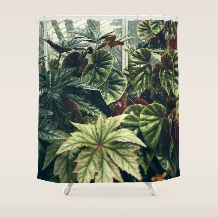 Beautiful Begonias Shower Curtain Gallery Image 1