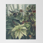 Beautiful Begonias Throw Blanket Gallery Image 2