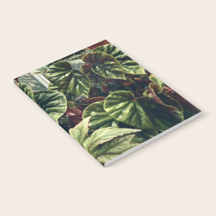 Beautiful Begonias Notebook Gallery Image 2