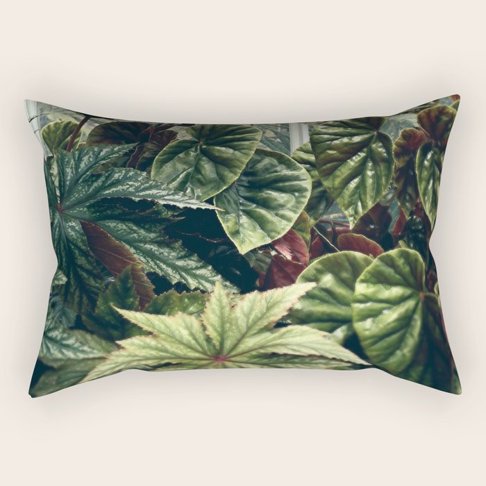 Beautiful Begonias Rectangular Pillow Gallery Image 1