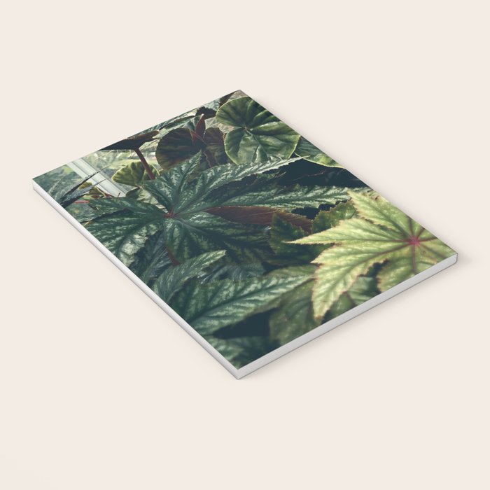 Beautiful Begonias Notebook Gallery Image 3