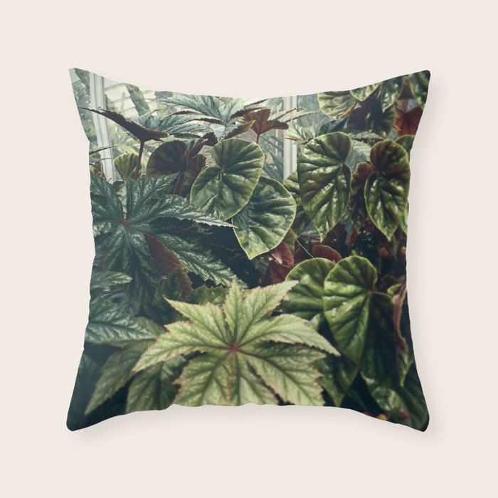 Beautiful Begonias Throw Pillow Gallery Image 1