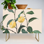 Lemon Credenza Gallery Image 1