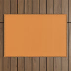 Muted Pumpkin Orange Solid Color Outdoor Rug Gallery Image 1