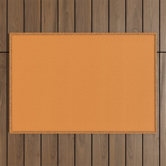 Muted Pumpkin Orange Solid Color Outdoor Rug Gallery Image 1