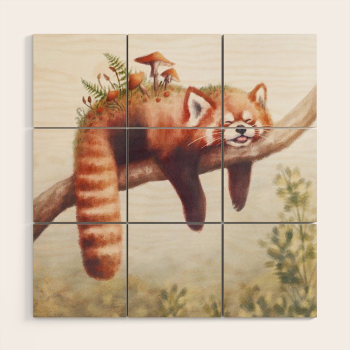 Sleepy Red Panda Wood Wall Art Gallery Image 1