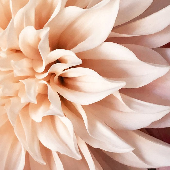 Find Your Tribe #1 - Modern Botanical Photograph Coffee Mug Gallery Image 2
