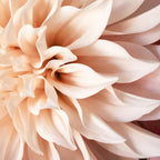 Find Your Tribe #1 - Modern Botanical Photograph Coffee Mug Gallery Image 2