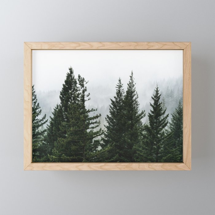Wanderlust Forest V - Mountain Adventure in Foggy Woods Mini Art Print Gallery Image 1