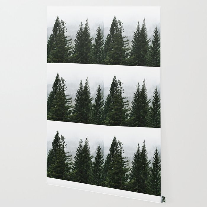 Wanderlust Forest V - Mountain Adventure in Foggy Woods Wallpaper Gallery Image 2