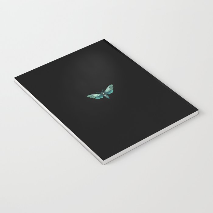 Lime Hawk Moths Night Notebook Gallery Image 3