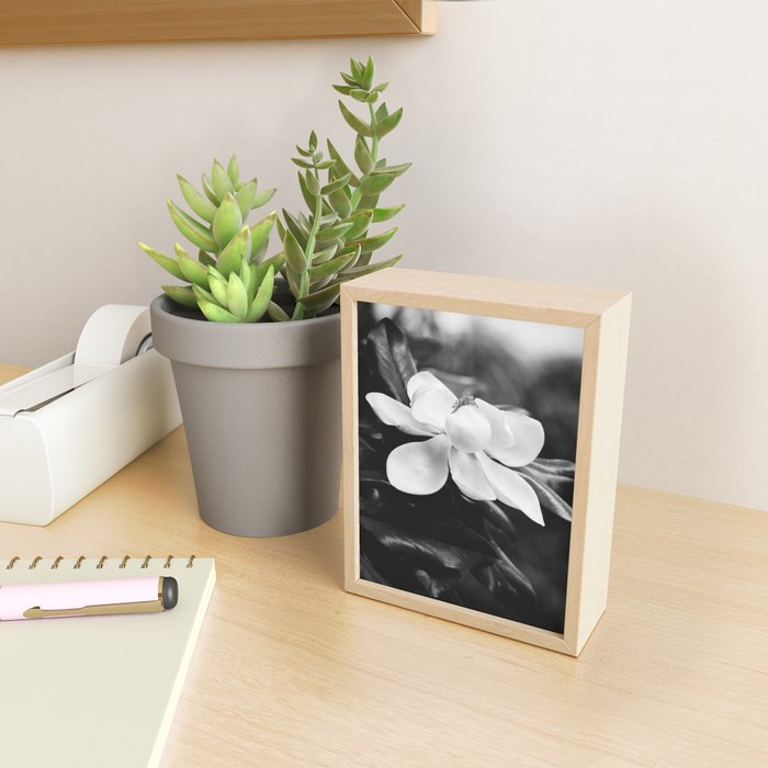 Magnolia Mini Art Print Gallery Image 2