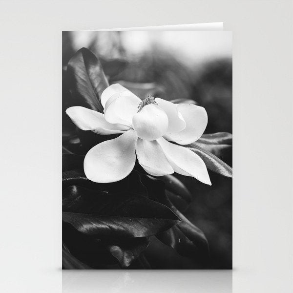 Magnolia Stationery Card Gallery Image 2