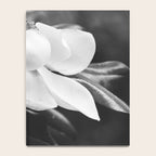 Magnolia Notebook Gallery Image 4