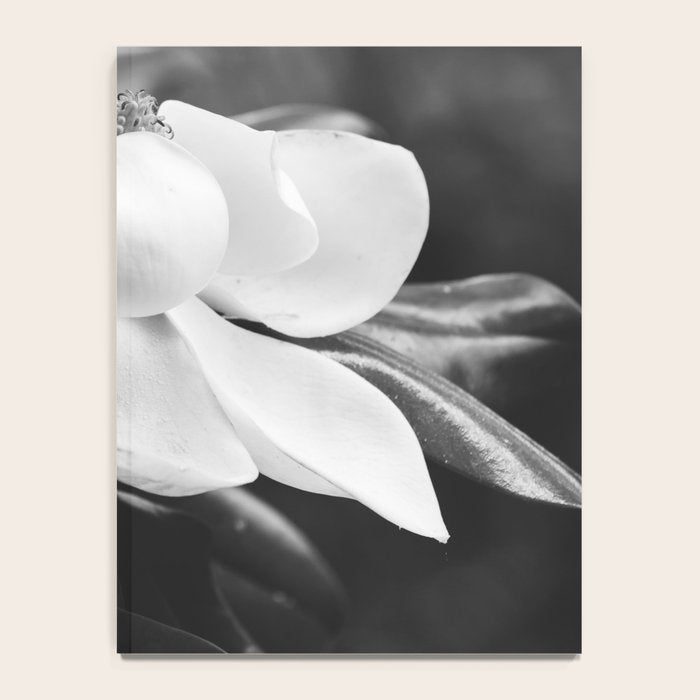 Magnolia Notebook Gallery Image 4