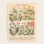 Wild Flowers ~ vol4. ~ light  vintage inspired botanical Poster Gallery Image 4