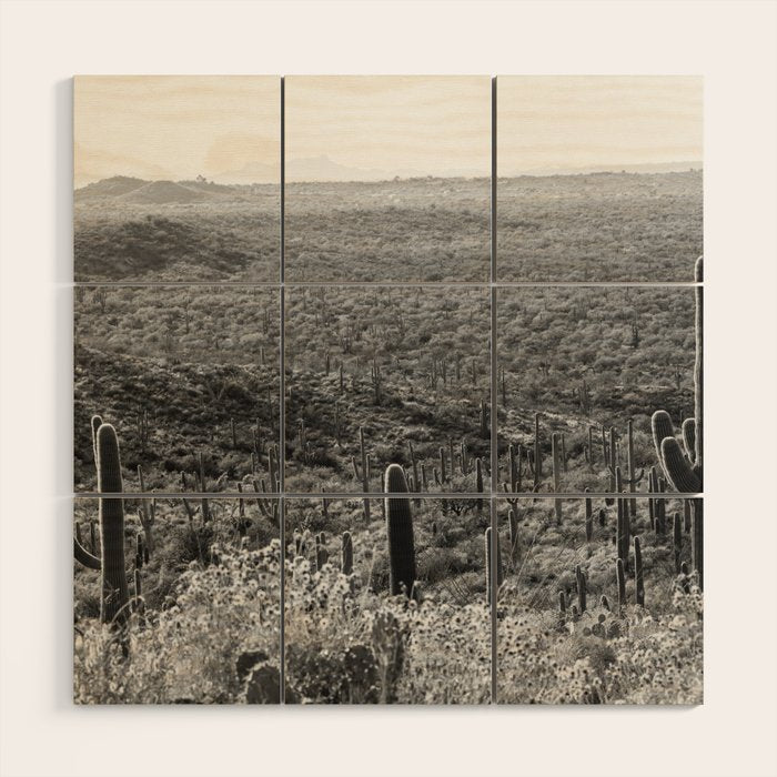 Wild West Wood Wall Art Gallery Image 1