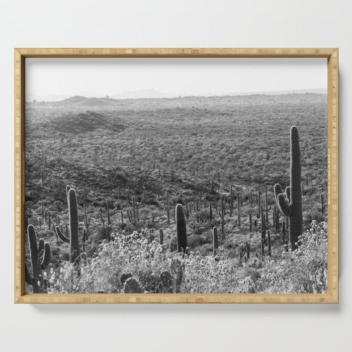 Wild West Serving Tray Gallery Image 1