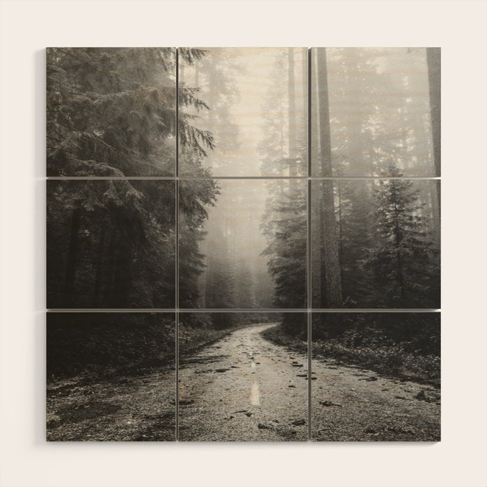 Redwood Forest Adventure Black and White - Nature Photography Wood Wall Art Gallery Image 1