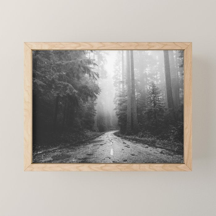Redwood Forest Adventure Black and White - Nature Photography Mini Art Print Gallery Image 1