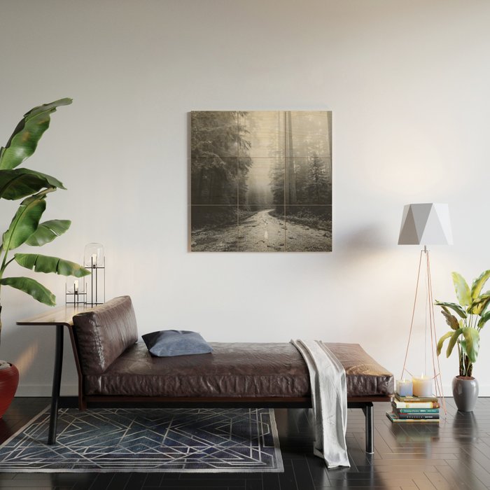 Redwood Forest Adventure Black and White - Nature Photography Wood Wall Art Gallery Image 2