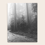 Redwood Forest Adventure Black and White - Nature Photography Notebook Gallery Image 4