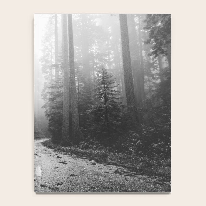 Redwood Forest Adventure Black and White - Nature Photography Notebook Gallery Image 4