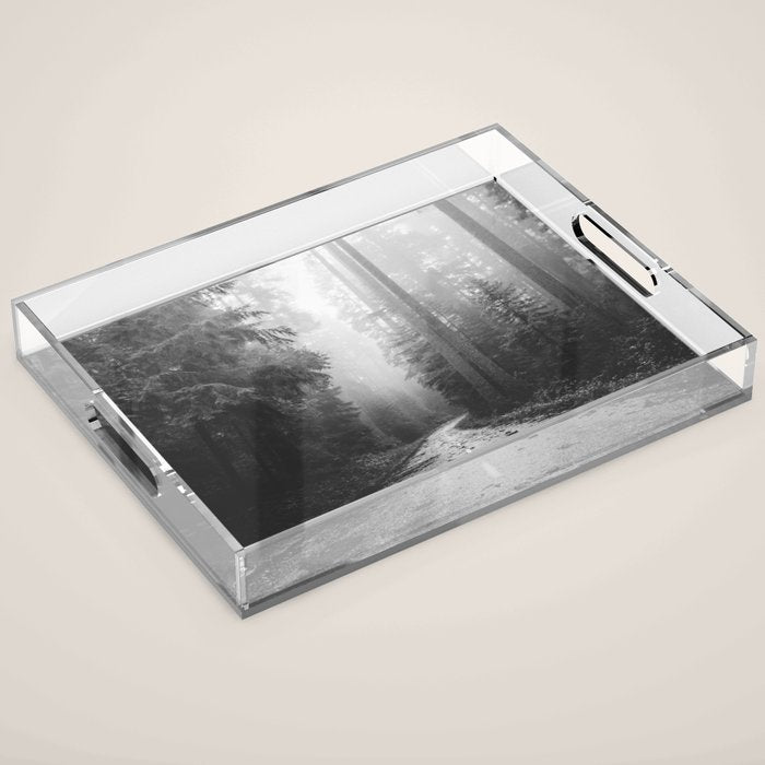 Redwood Forest Adventure Black and White - Nature Photography Acrylic Tray Gallery Image 1