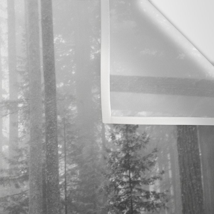 Redwood Forest Adventure Black and White - Nature Photography Wall Tapestry Gallery Image 3