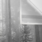 Redwood Forest Adventure Black and White - Nature Photography Wall Tapestry Gallery Image 3