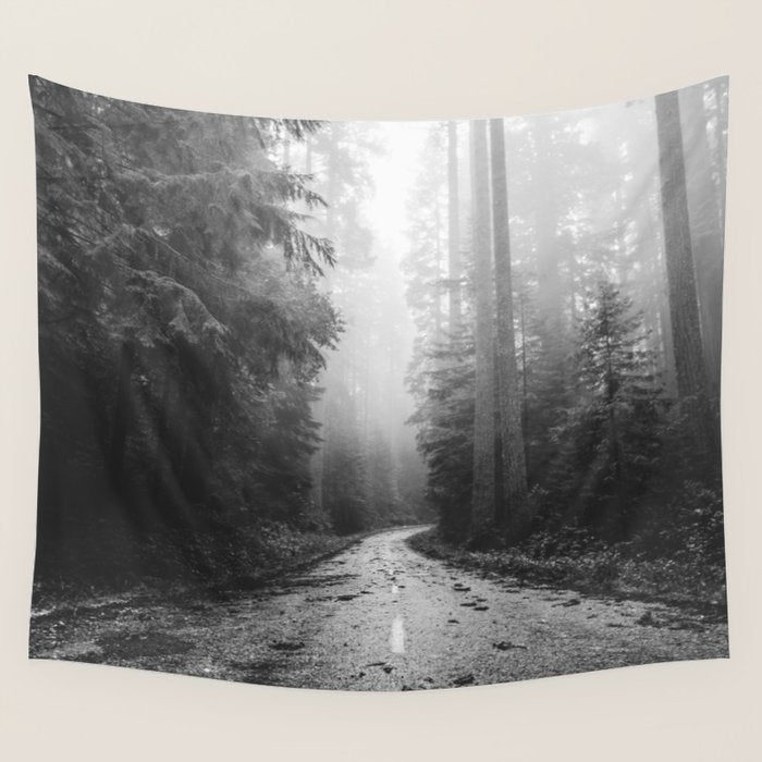 Redwood Forest Adventure Black and White - Nature Photography Wall Tapestry Gallery Image 1